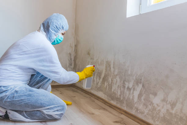 Licensed Mold Remediation service in Minneapolis, MN - WQB Mold Removal