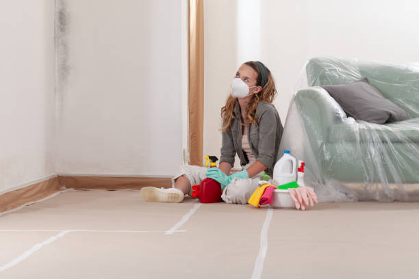 Reliable Mold Remediation contractor in Minneapolis, MN by WQB Mold Removal
